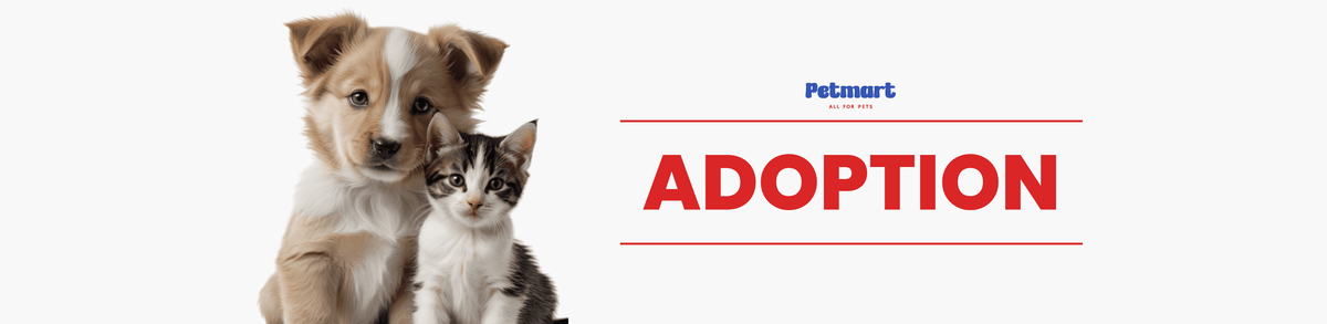 Adoption – PetMart