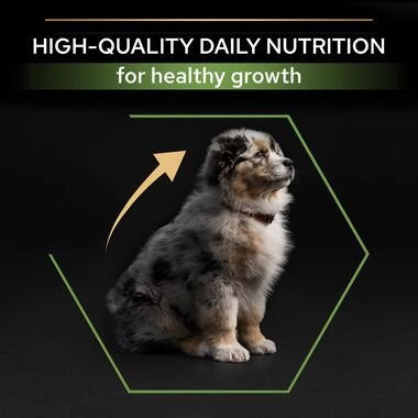 Pro Plan Healthy Start Medium Puppy, Dry Dog food with Chicken, 3 kg