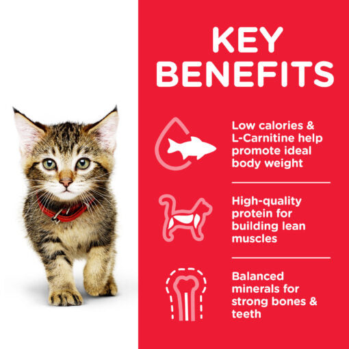 Hill`s Science Plan Kitten Food With Tuna  (1.5kg)