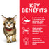 Hill`s Science Plan Kitten Food With Tuna  (1.5kg)