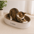Wide edge Oval Number 50, Cat Scratch bed