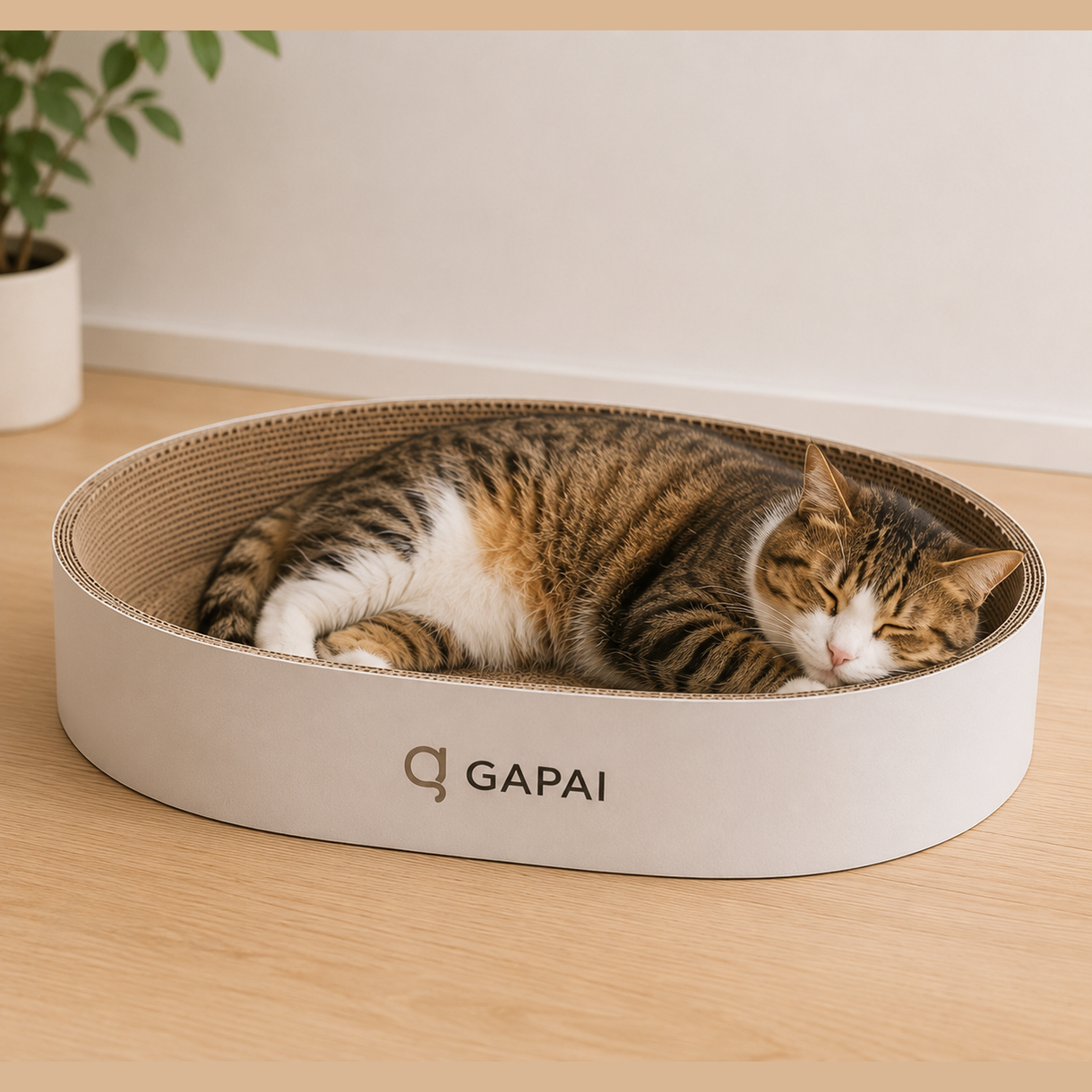 Wide edge Oval Number 50, Cat Scratch bed
