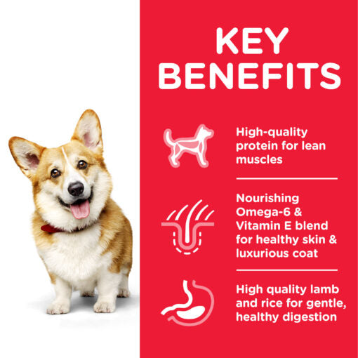 Hill`s Science Plan Small & Mini Adult Dog Food With Chicken 1.5kg