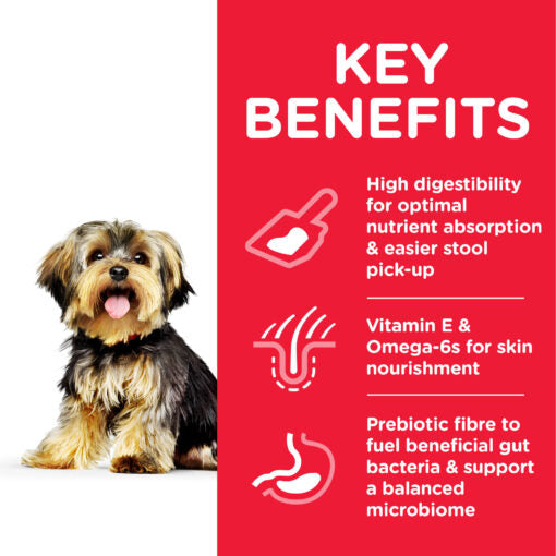 Hill`s Science Plan Sensitive Stomach & Skin Small & Mini Adult Dog Food With Chicken (1.5kg)