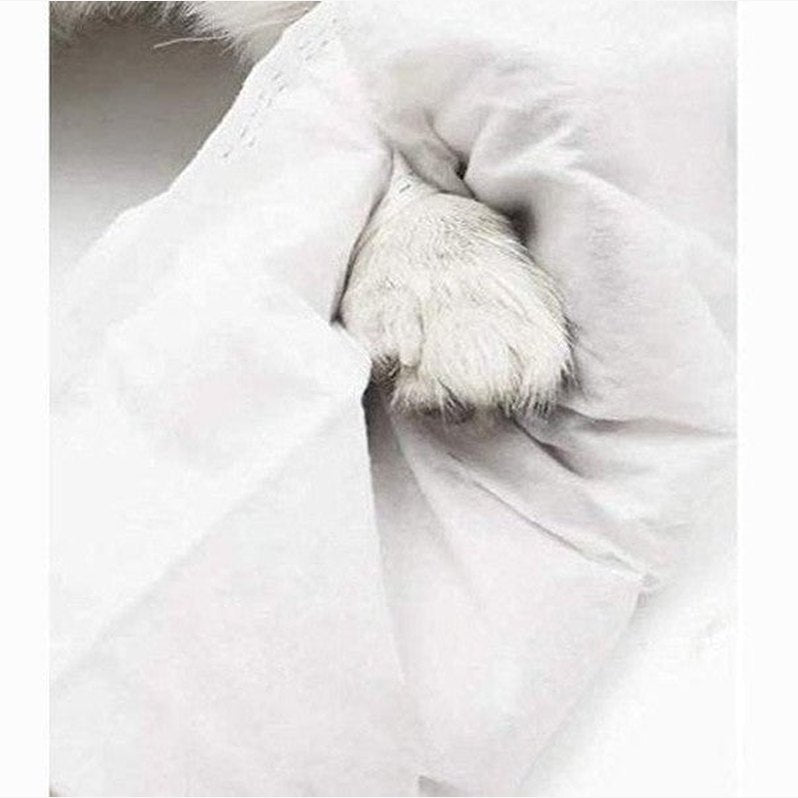 Dono Pet Golve Wipes 12Pcs