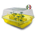 Mp-Elba Turtle Bowl
