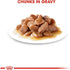 Feline Care Nutrition Digest Sensitive Gravy (Wet Food - Pouches) 12 X 85G