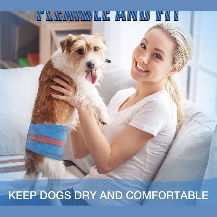 Jeans Style Dono Male Dog Diaper M 18Pcs