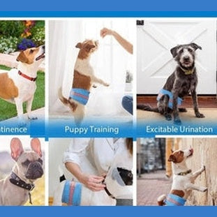 Jeans Style Dono Male Dog Diaper M 18Pcs