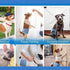 Jeans Style Dono Male Dog Diaper M 18Pcs