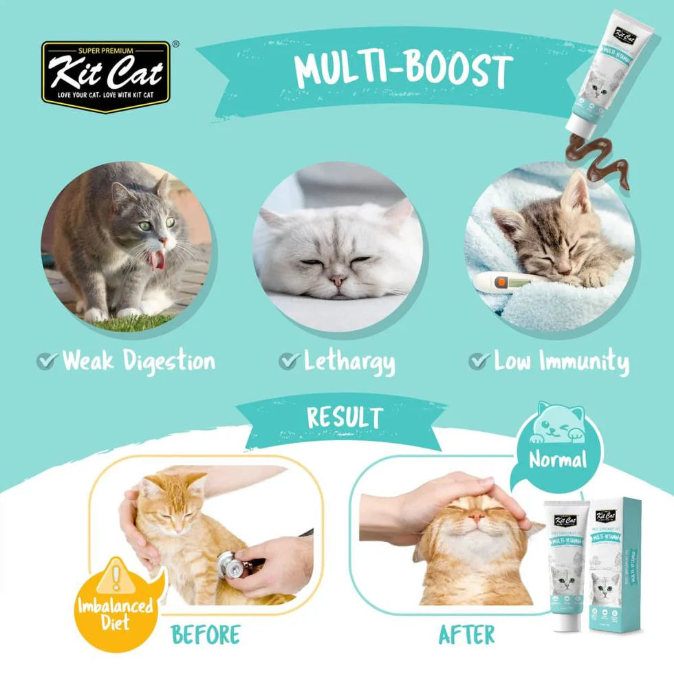 Kit Cat Daily Supplement Gel 120g Multi Vitamin