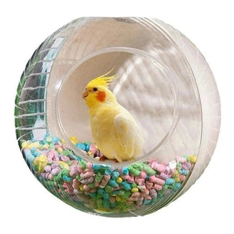 Hanging Bird Nest