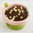 Ice Cream Cat Bowl (Rayna Sue)