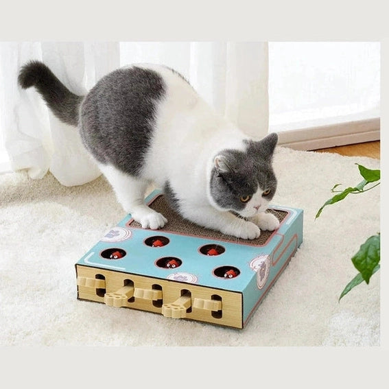 Game Cat Toy Box