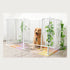 Square Pipe Pet Fence 6 Panel Set