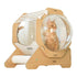 Capsule Cat`S Nest (Octagon)