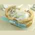 Multifunctional Runway Round Cat Nest