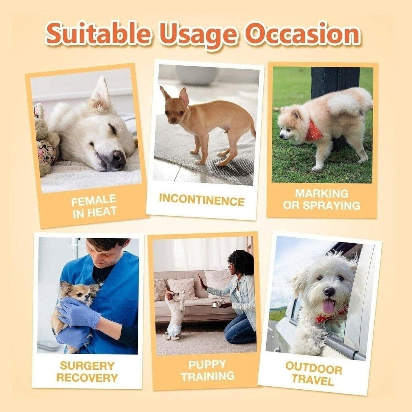 Pet Soft Female Pet Diaper   S 12Pcs