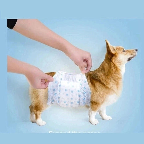Pet Soft Male Dog Diaper   M 12Pcs