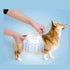 Pet Soft Male Dog Diaper   M 12Pcs