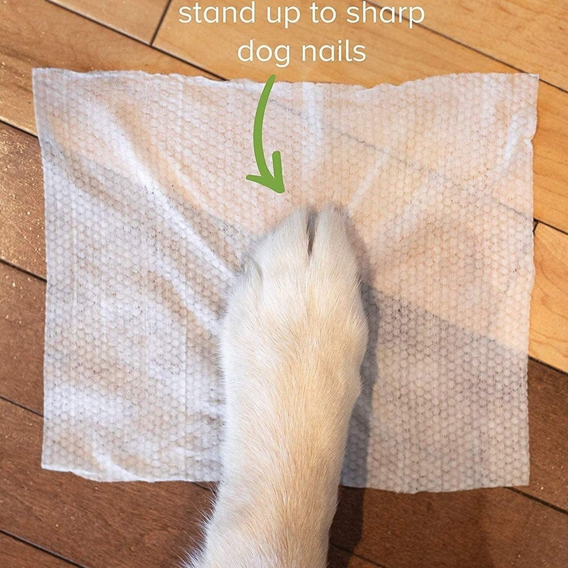 Pet Soft Wipes 80Pcs