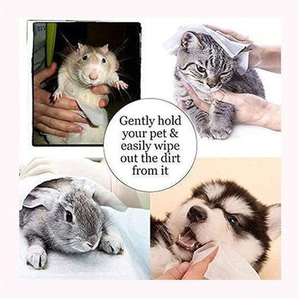 Pet Soft Wipes 80Pcs