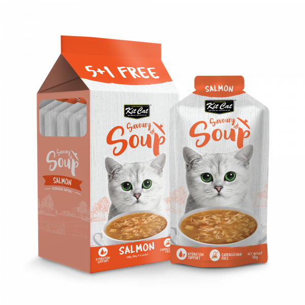 Kit Cat Savoury Soup Salmon 300g ( 6 X 50g )