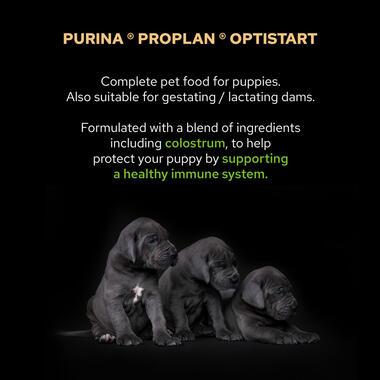 Pro Plan Healthy Start Small and Mini Puppy, Dry Dog food with Chicken, 3 kg