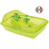 Mp-Ischia Turtle Bowl