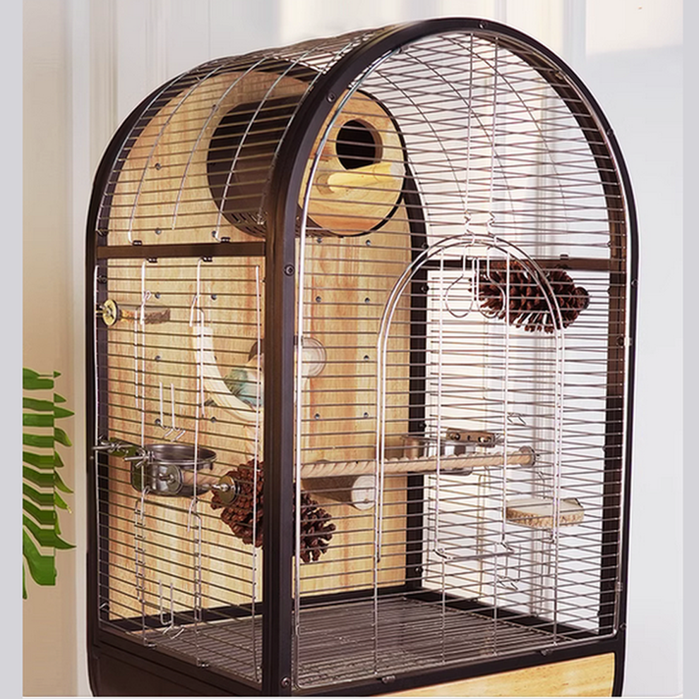 Time Capsule-Bird Villa