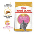 Feline Breed Nutrition British Shorthair Kitten 2 Kg