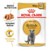 Feline Breed Nutrition British Shorthair (Wet Food - Pouches) 12 X 85G