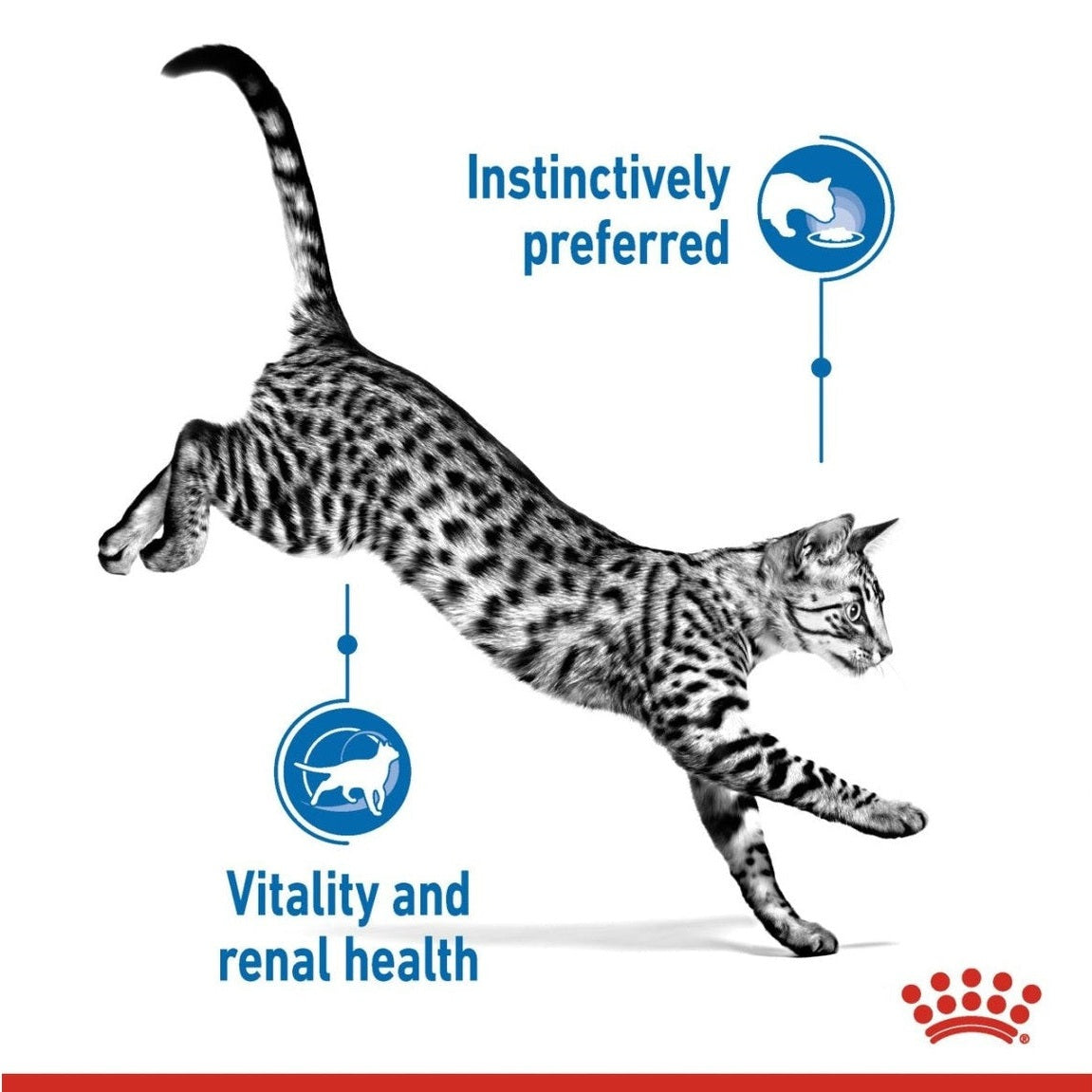 Feline Health Nutrition Indoor (Wet Food - Pouches) 12 X 85G