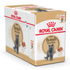 Feline Breed Nutrition British Shorthair (Wet Food - Pouches) 12 X 85G