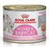 Feline Health Nutrition Mother & Babycat Mousse (Wet Food - Cans) 12 X 195G