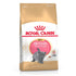 Feline Breed Nutrition British Shorthair Kitten 2 Kg