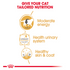 Feline Breed Nutrition British Shorthair (Wet Food - Pouches) 12 X 85G