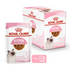 Feline Health Nutrition Kitten Gravy (Wet Food - Pouches) 12 X 85G