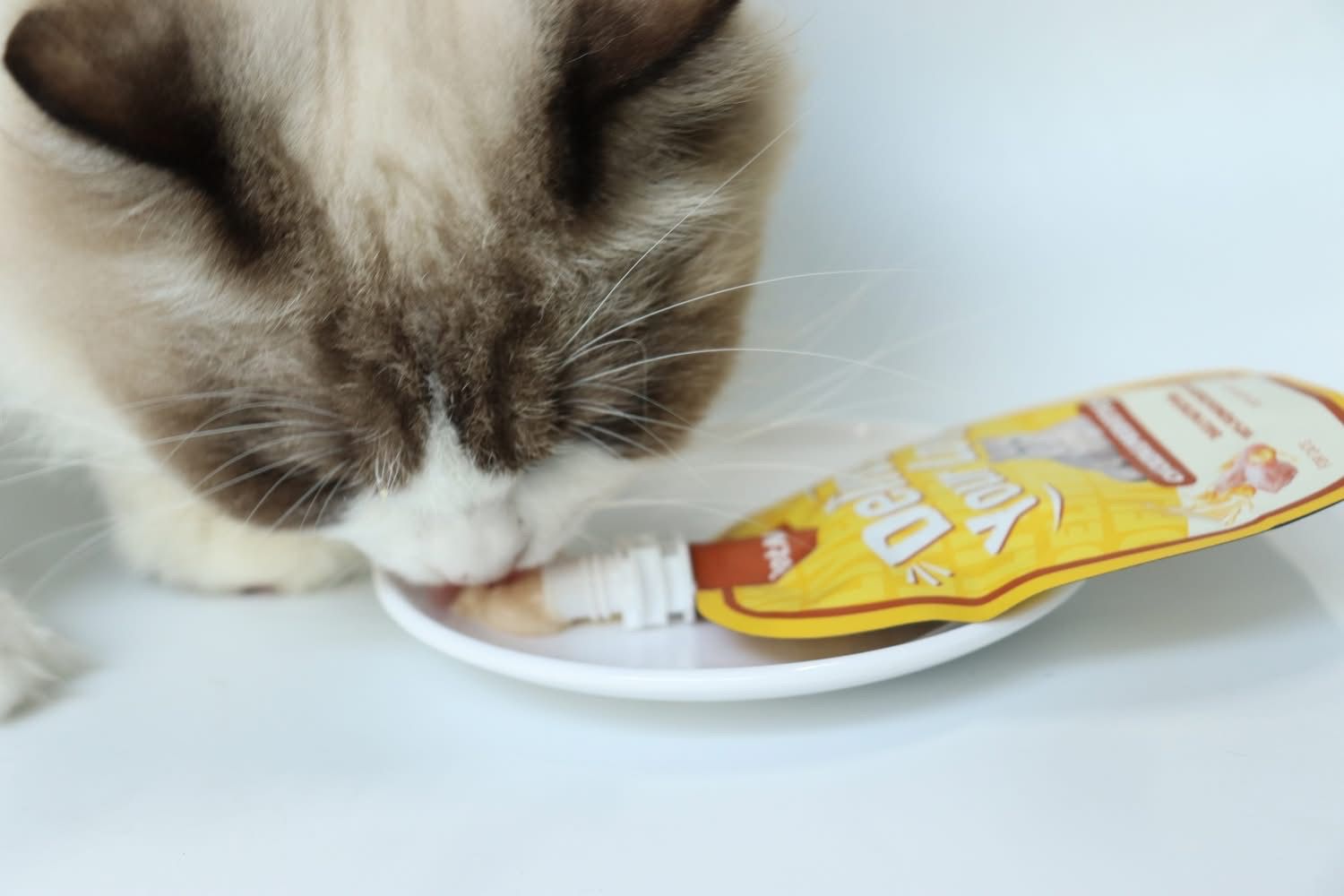 Petmetro Cat Creamy Treat Chicken and Prebiotics 60G