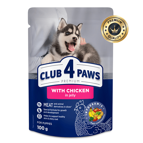 CLUB 4 PAWS for puppies With chicken in jelly 100g Pack Of 24pcs