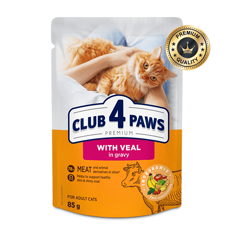 CLUB 4 PAWS veal in gravy for adult cat 85g Pack Of 24pcs