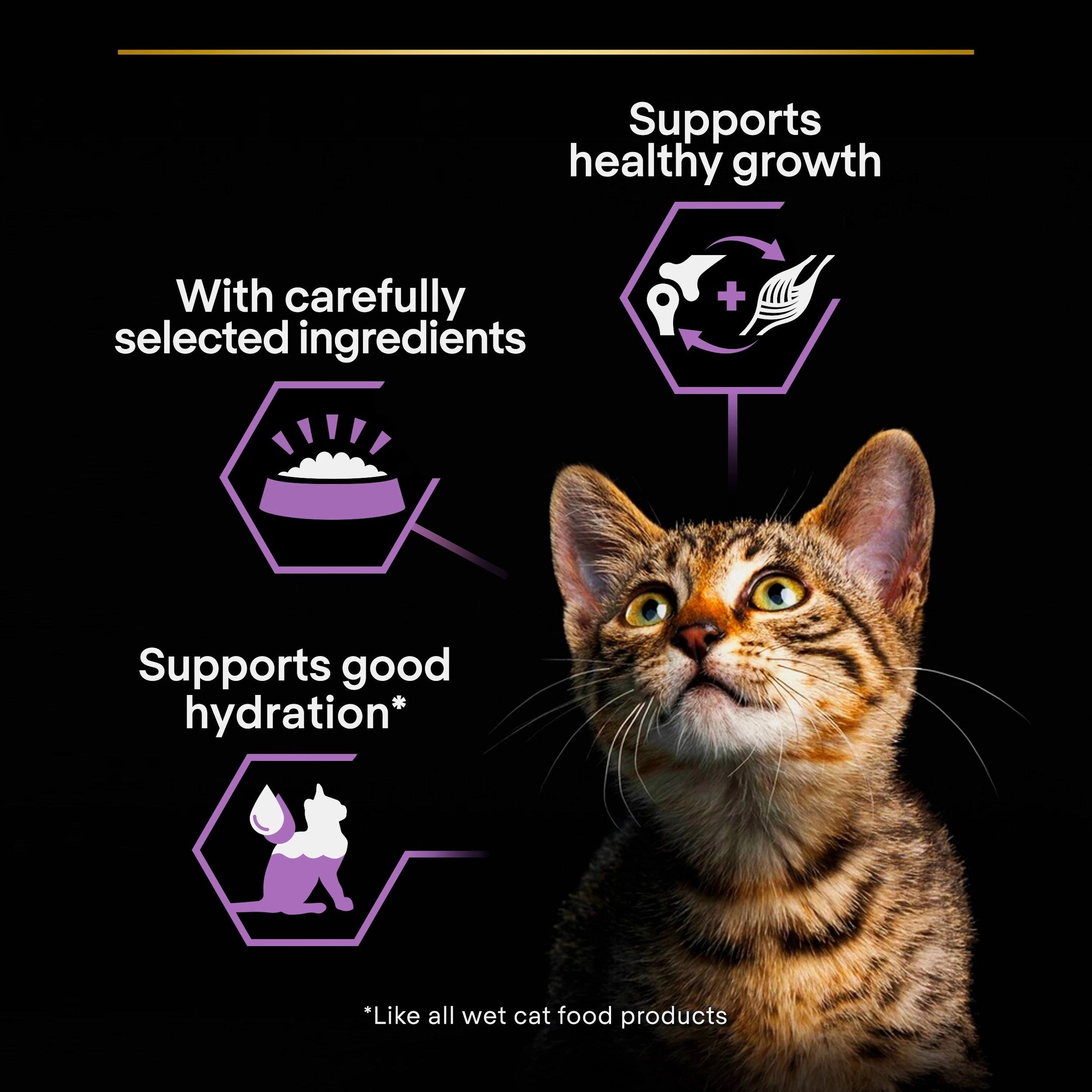 Pro Plan Baby Kitten Mousse Healthy Start, Wet Cat Food, rich in Chicken 85g