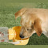 High-Quality Portable Water Bottle.