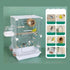 47Cm British Double Front Transparent Package A