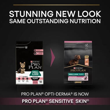 Pro Plan Small and Mini Puppy Sensitive Skin, Dry Dog food with Salmon, 3 kg