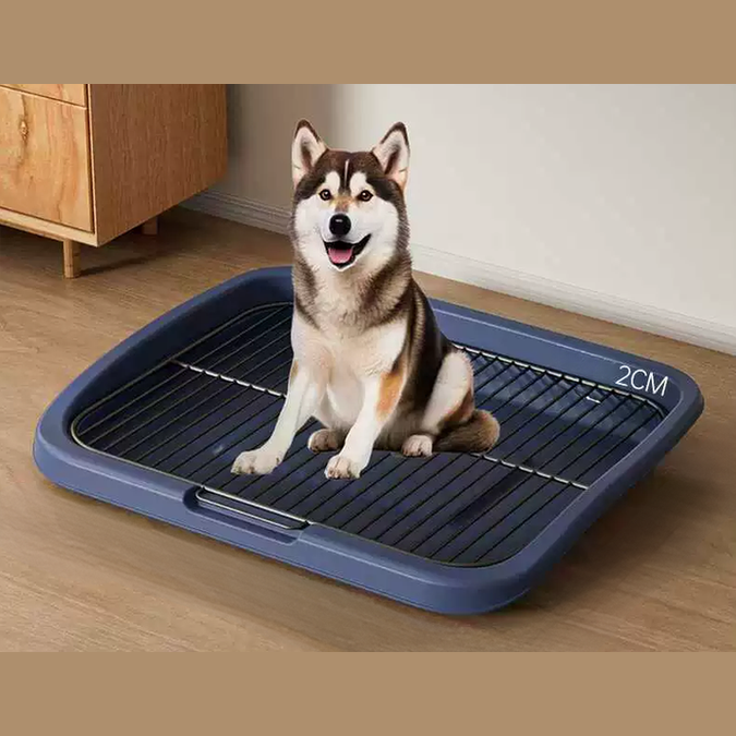 The Popular Iron Mesh Flat Dog Toilet