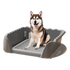Prefer An Oversized Wavy Dog Toilet