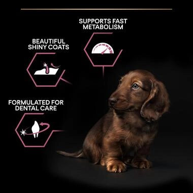 Pro Plan Small and Mini Puppy Sensitive Skin, Dry Dog food with Salmon, 3 kg