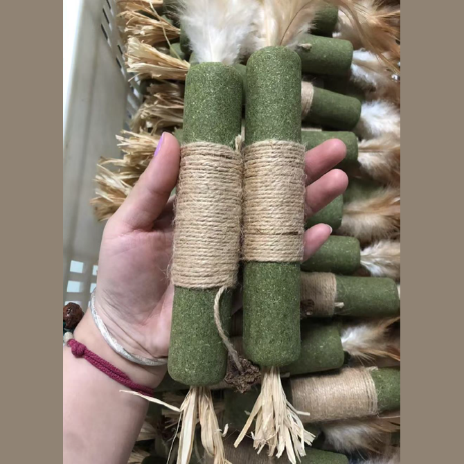 Catnip Toy Cat Mint Stick Cat toy 1 pcs
