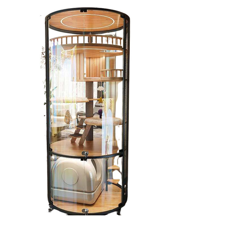Cat Floating City